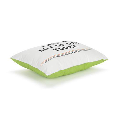 Live From Snack Time Lot of Day Today Green Accent Pillow - 14x10in slide 