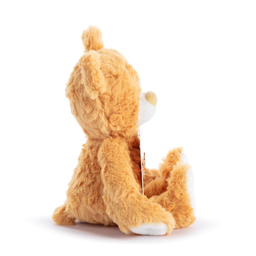 Happy Birthday Orange Bear - 8in slide 