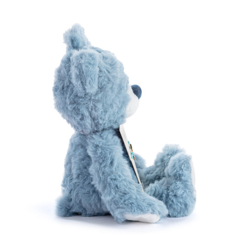 Proud of You Turquoise Bear - 8in slide 