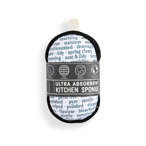 Clean Dirty Absorbent Reversible Sponges Set of 2 - 3x5in slide 