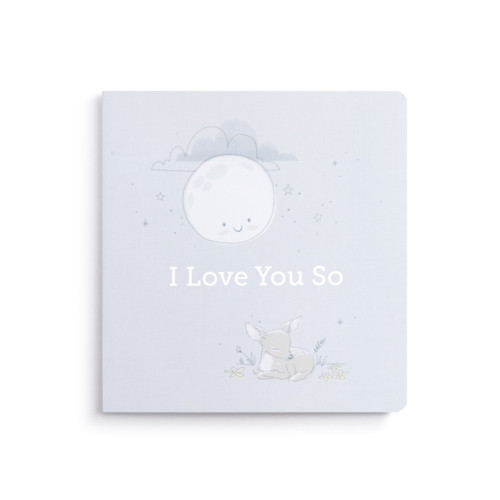 I Love You So Book and Blanket Giftset - 5x5in slide 