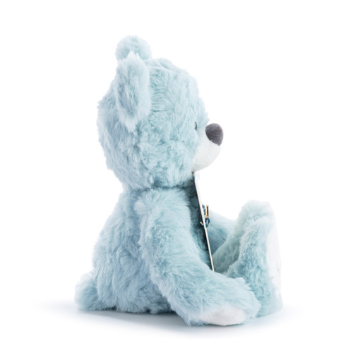 Moon and Back Blue Bear - 8in slide 