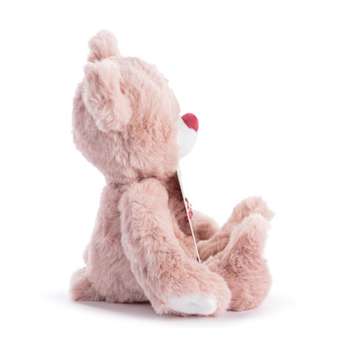Big Sister Pink Bear - 8in slide 