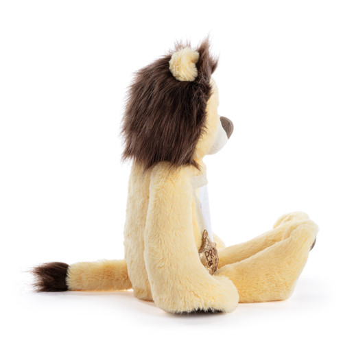 Proud of You Lion Plush - 16in slide 