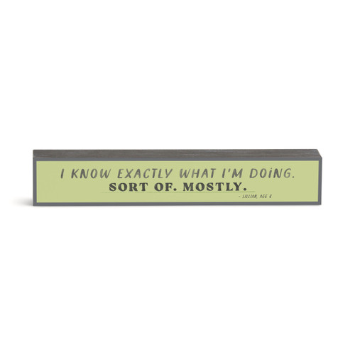 I Know What I'm Doing Wall Art 12x2" slide 