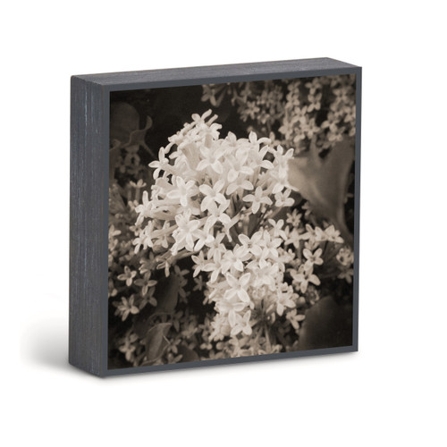 Bold Lilac Wall Art - 6"sq. slide 
