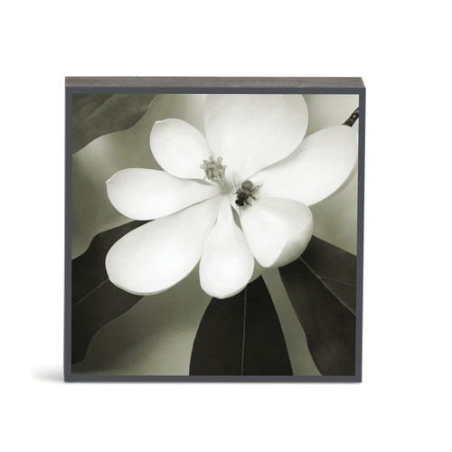 Bold Magnolia 2 Wall Art - 6"sq. slide 