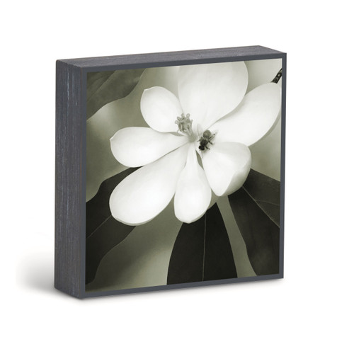 Bold Magnolia 2 Wall Art - 6"sq. slide 