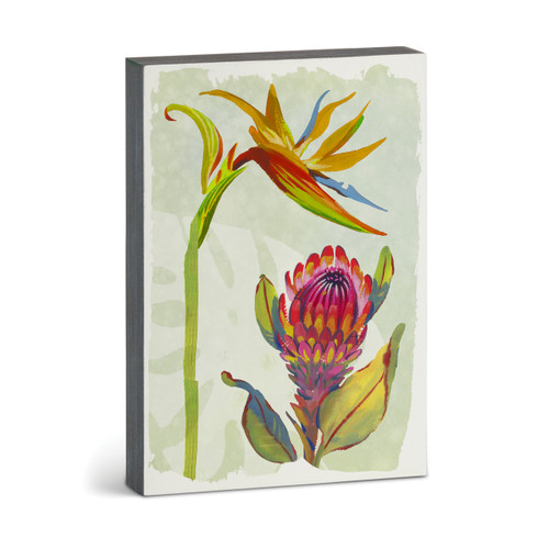 Bird of Paradise Wall Art - 12x8 slide 