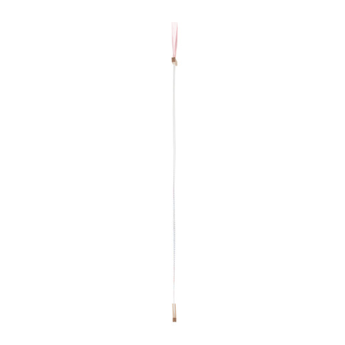 Butterfly Growth Ruler - 40x9.5in slide 