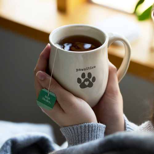 Pawsitive Paw Pets Mug - 16oz slide 
