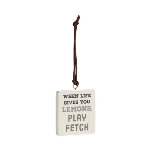 Play Fetch Ornament - Bone slide 