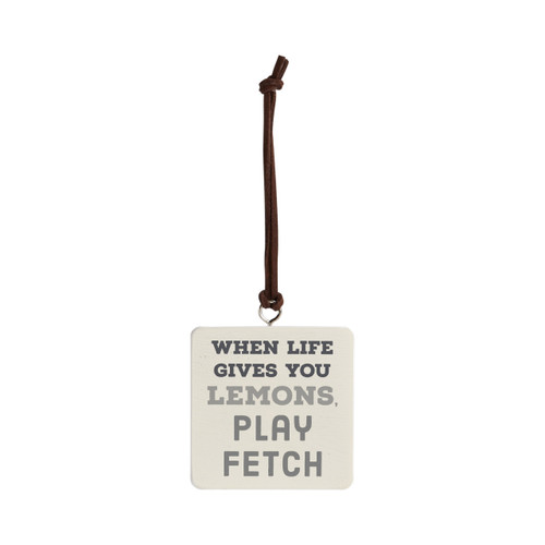 Play Fetch Ornament - Bone slide 