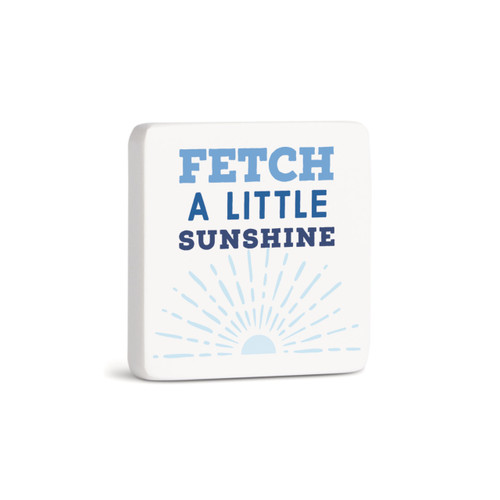 Fetch Sunshine Magnet - Bone slide 