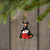 A small black bear holding a red stocking hanging from a Christmas tree.