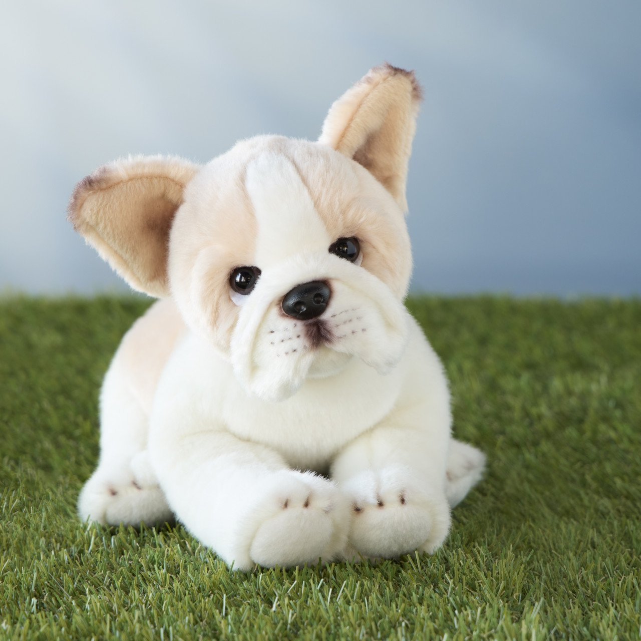 French Bulldog Small thumbnail
