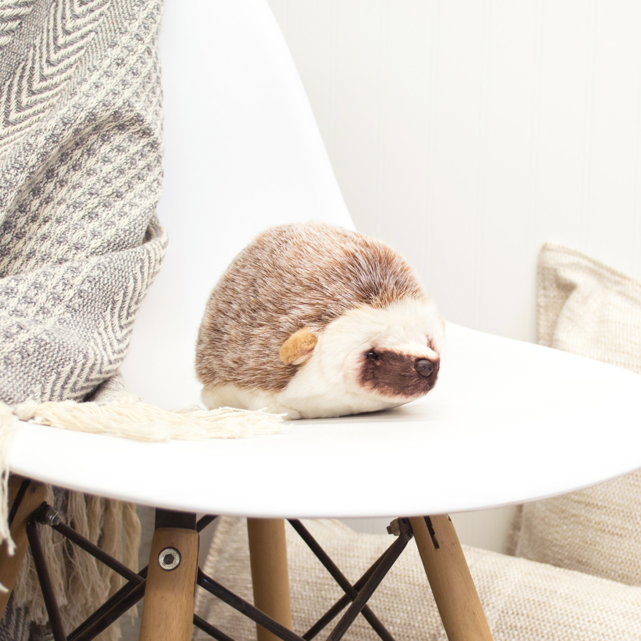 Hedgehog Small thumbnail