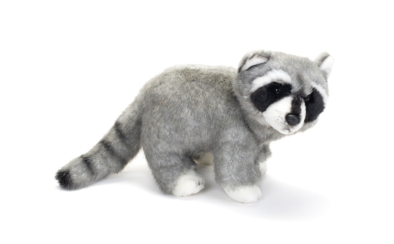 Raccoon Large thumbnail