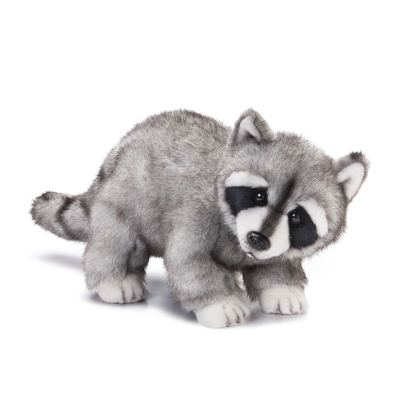 Raccoon Large thumbnail