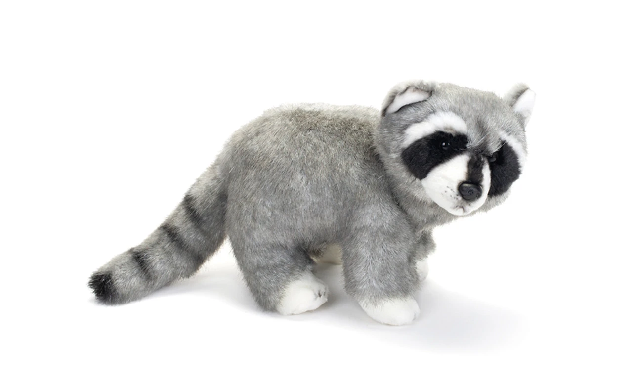 Raccoon Large thumbnail
