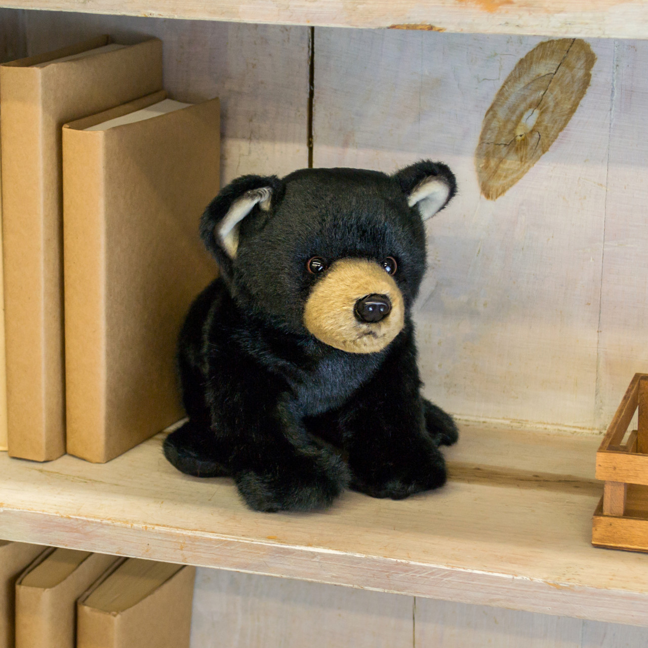 Black Bear Small thumbnail
