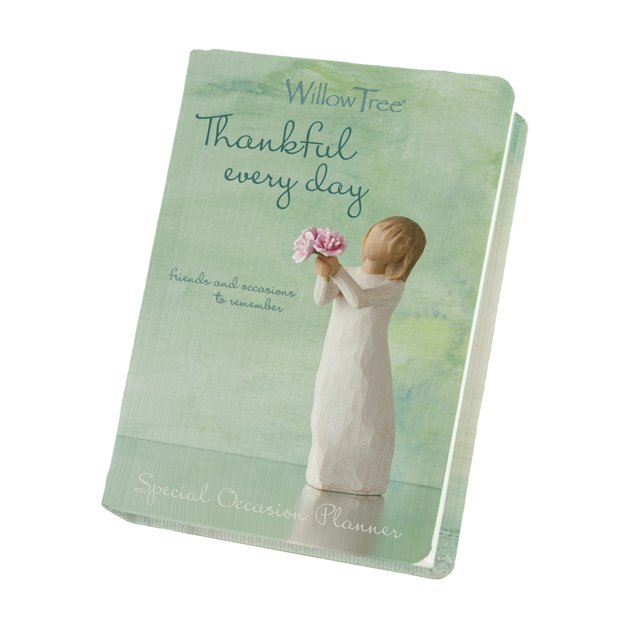 Special Occasion Planner thumbnail