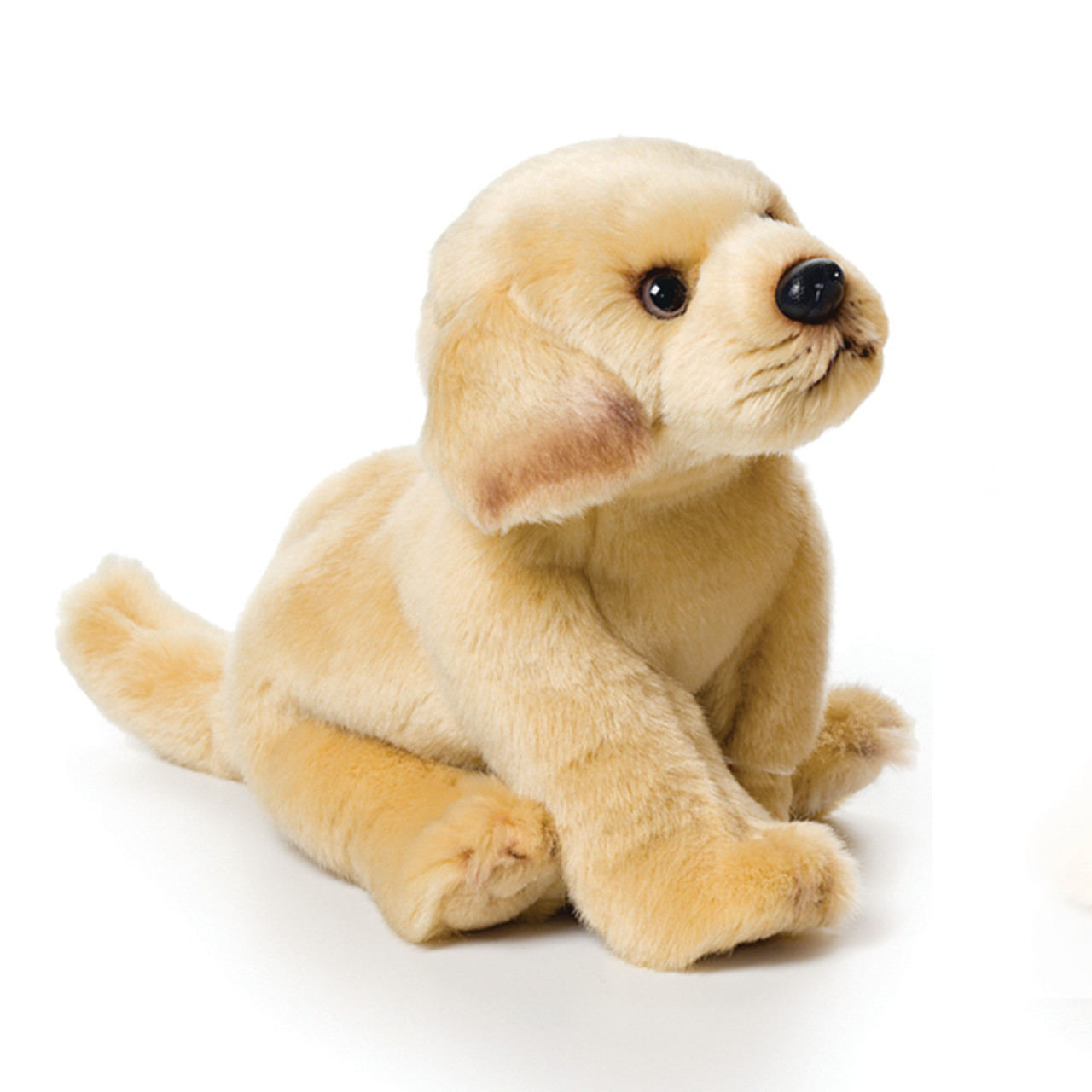 Yellow Labrador Small thumbnail