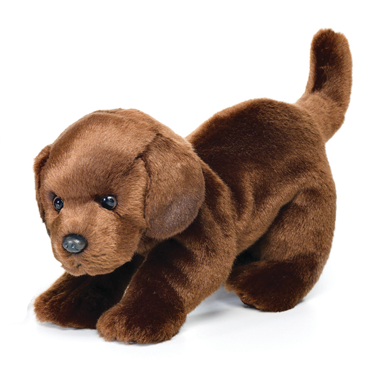 Chocolate Labrador Large thumbnail