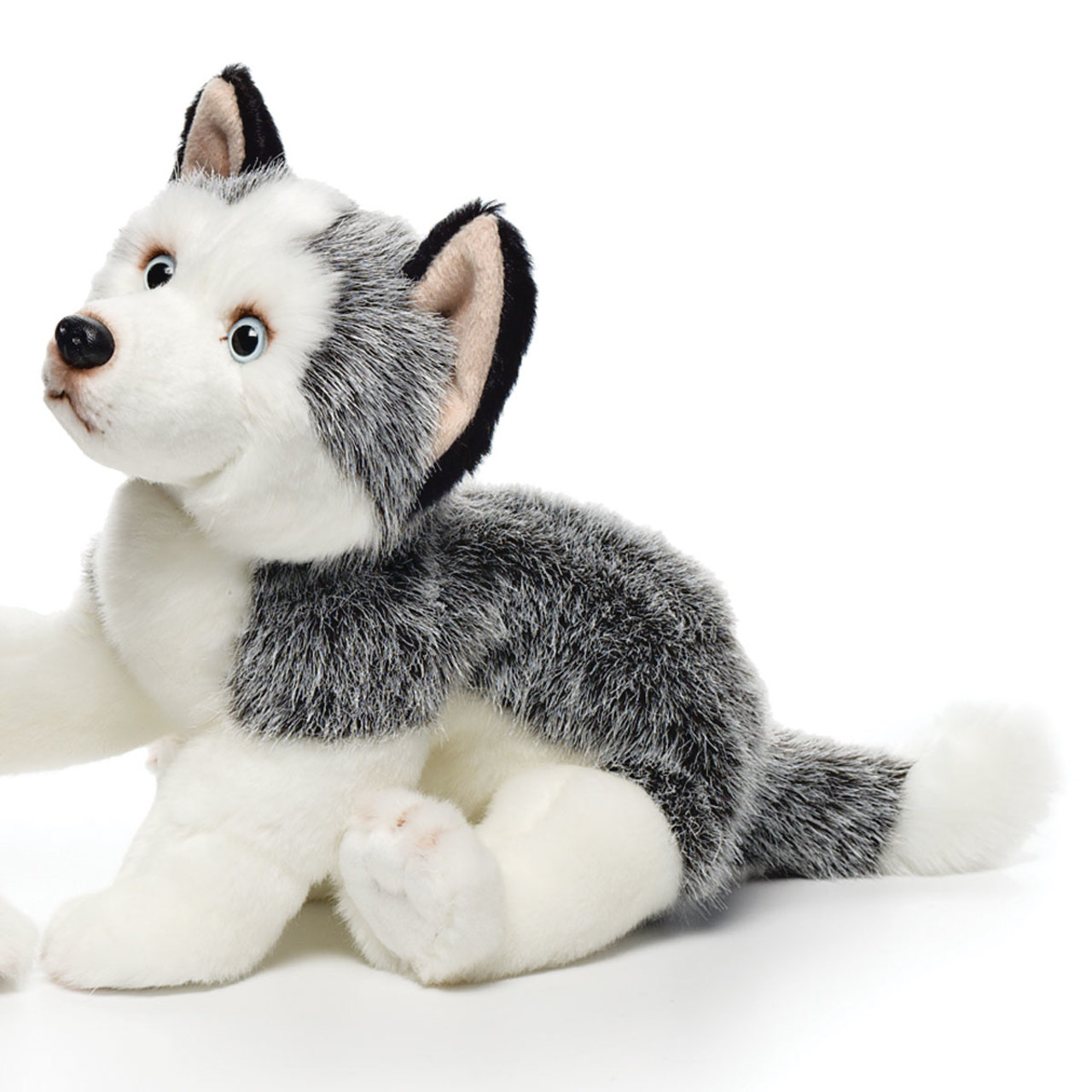 Husky Large thumbnail