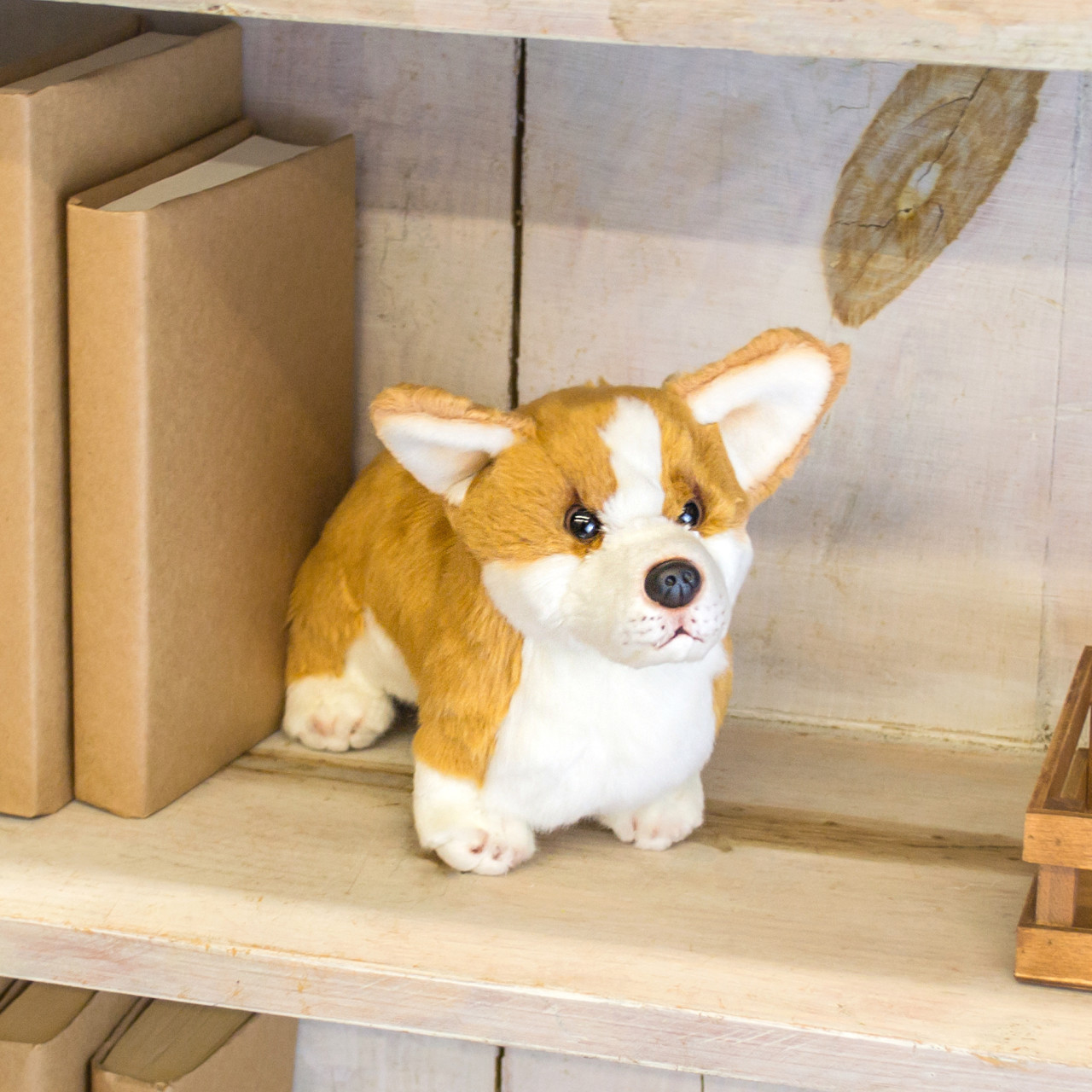 Corgi Small thumbnail