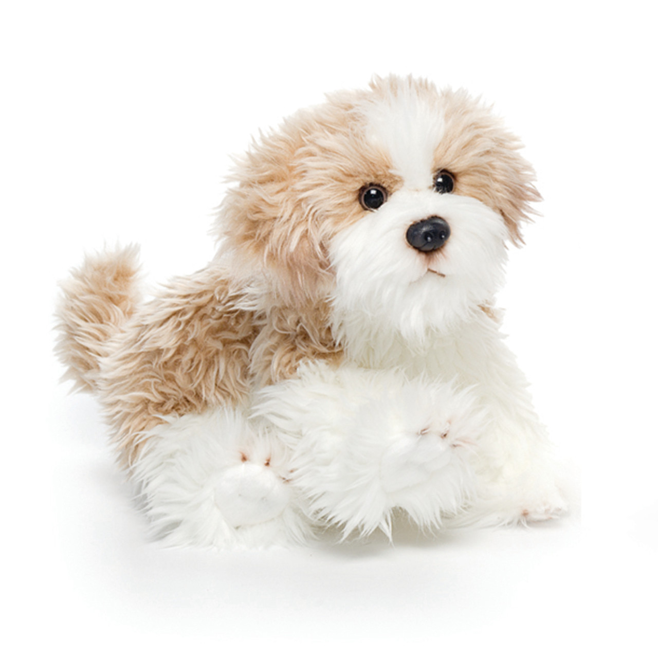 Maltipoo Small thumbnail