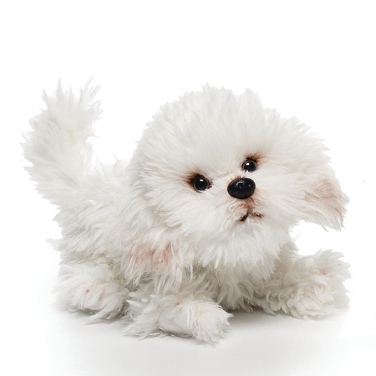 Bichon Frise Small thumbnail