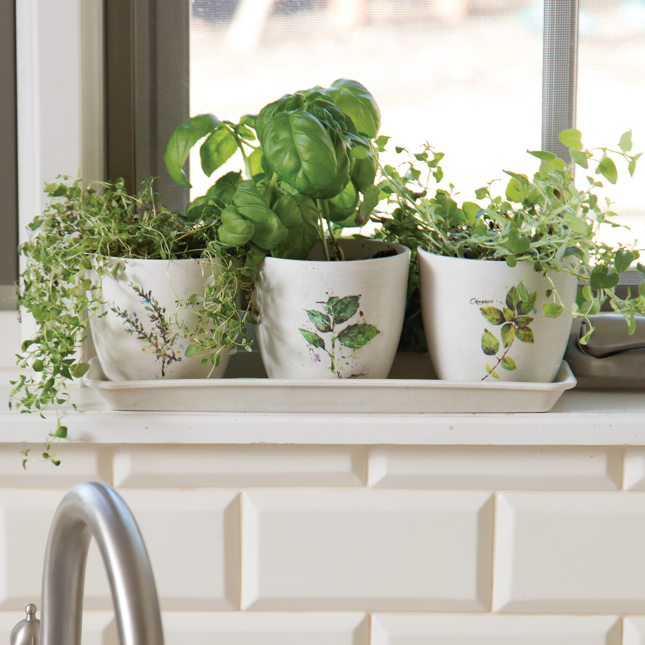 Herb Planter Set thumbnail