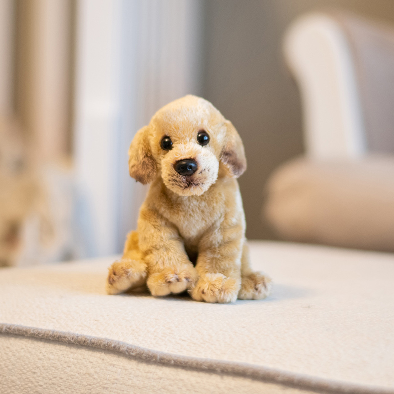 Yellow Labrador Beanbag thumbnail