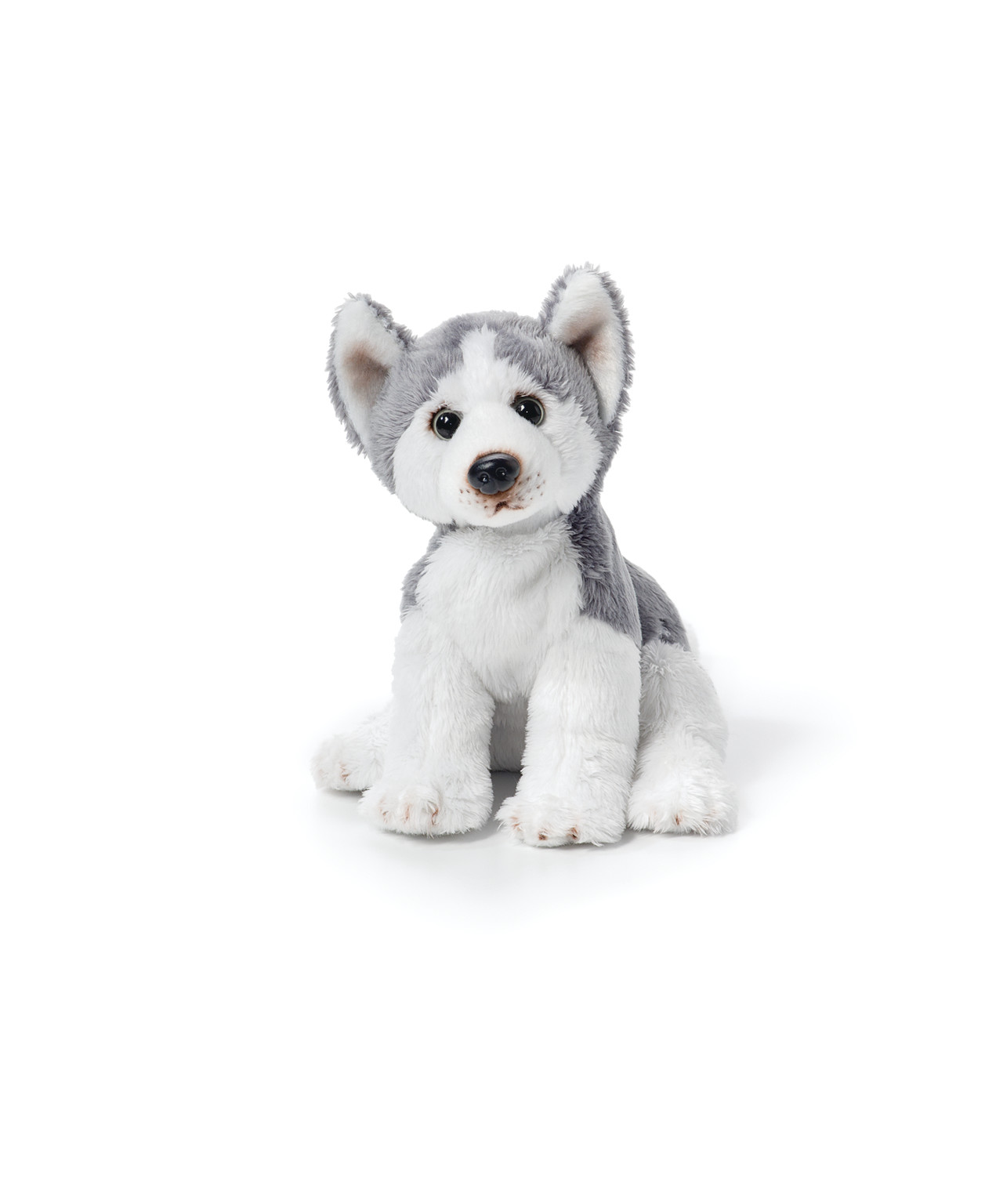 Husky Beanbag thumbnail