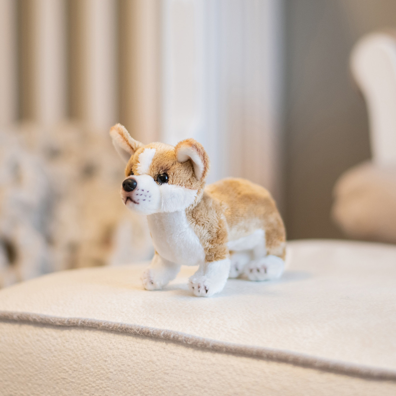 Corgi Beanbag thumbnail