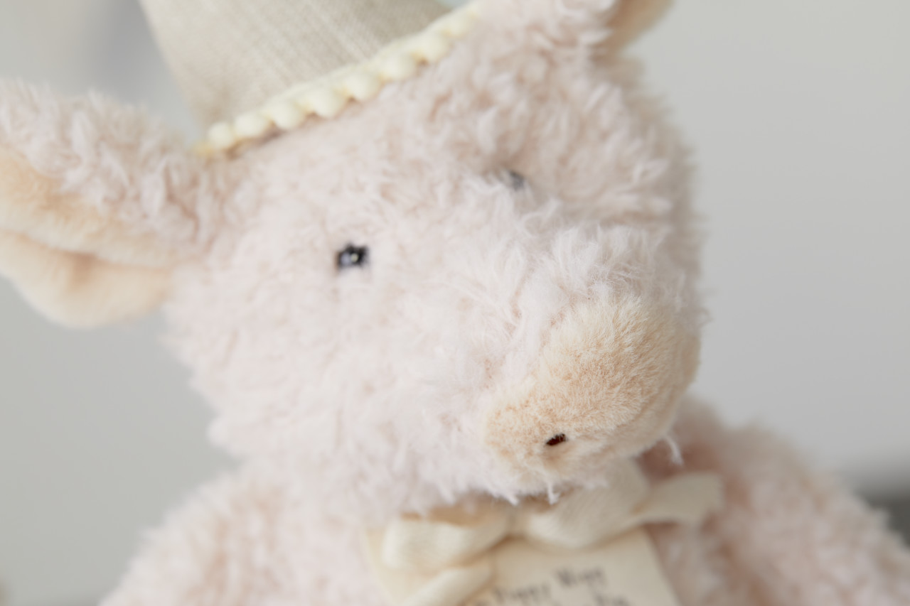 Piggy Wigg the Birthday Pig Plush Toy thumbnail