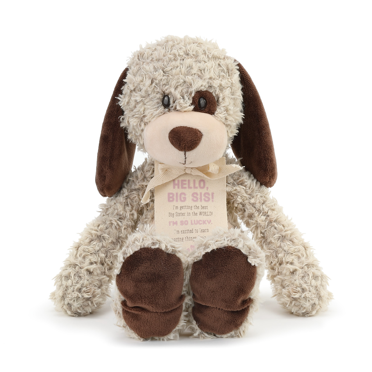 Gift from the New Kid: Big Sister Plush Puppy thumbnail