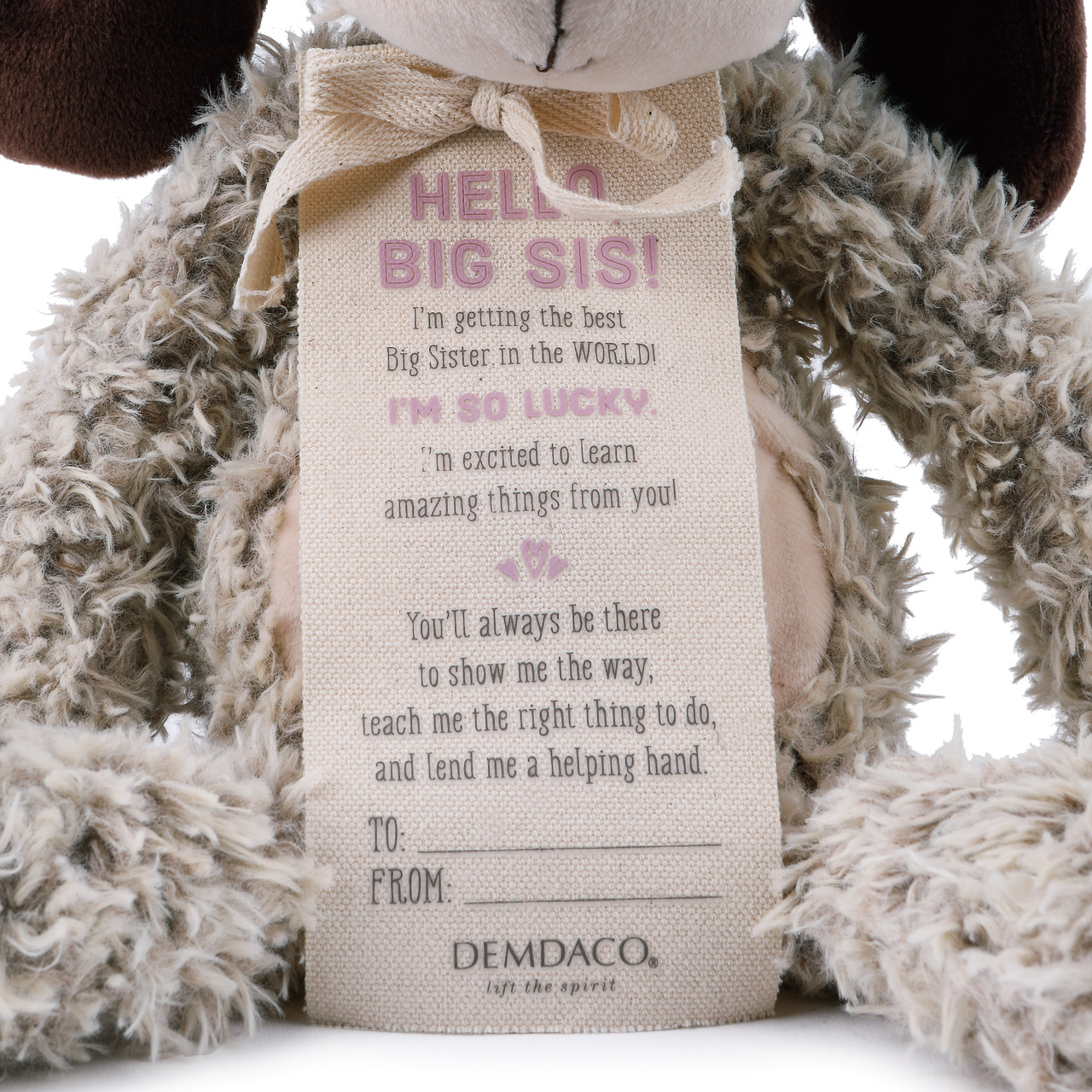 Gift from the New Kid: Big Sister Plush Puppy thumbnail