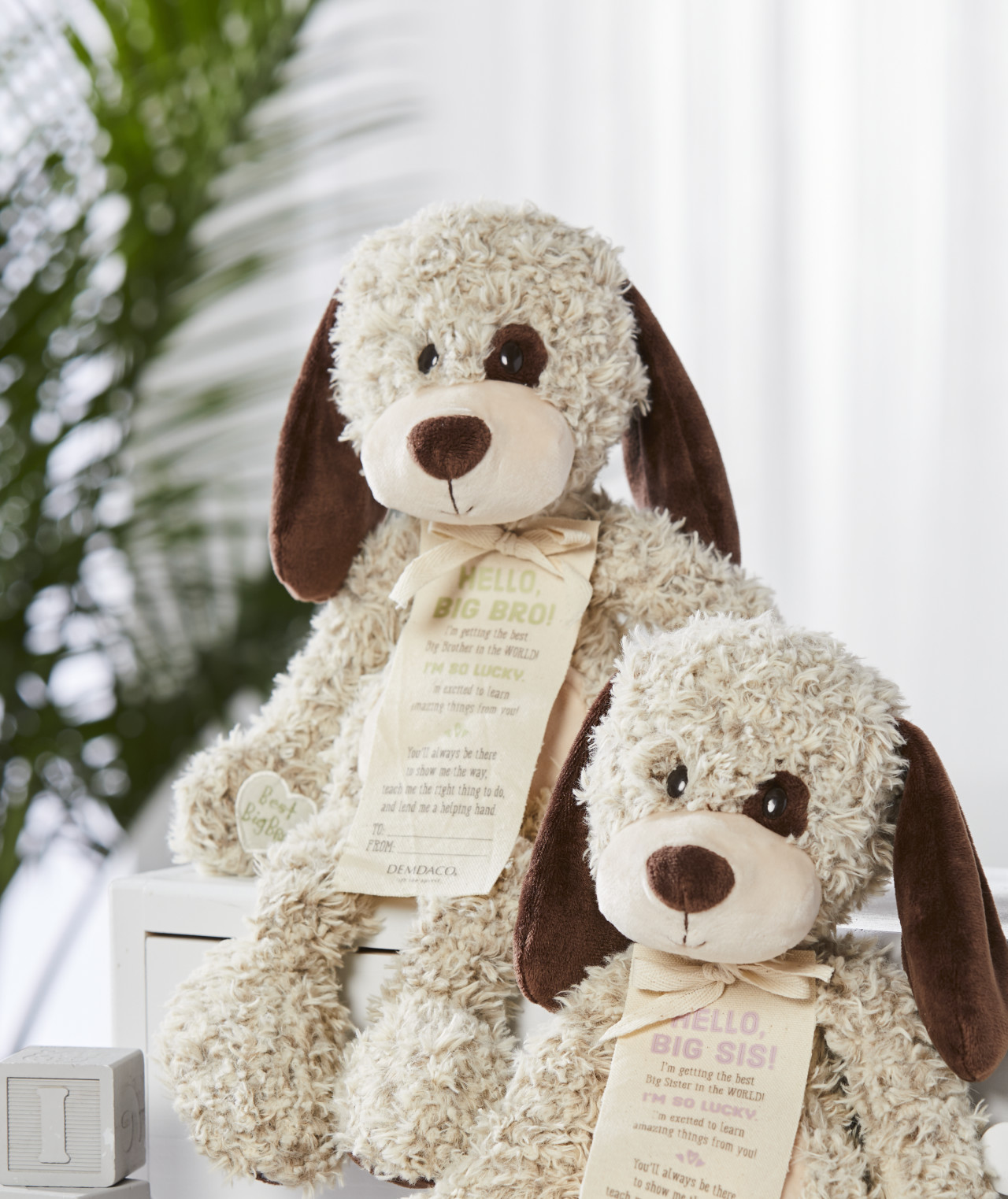 Gift from the New Kid: Big Brother Plush Puppy thumbnail