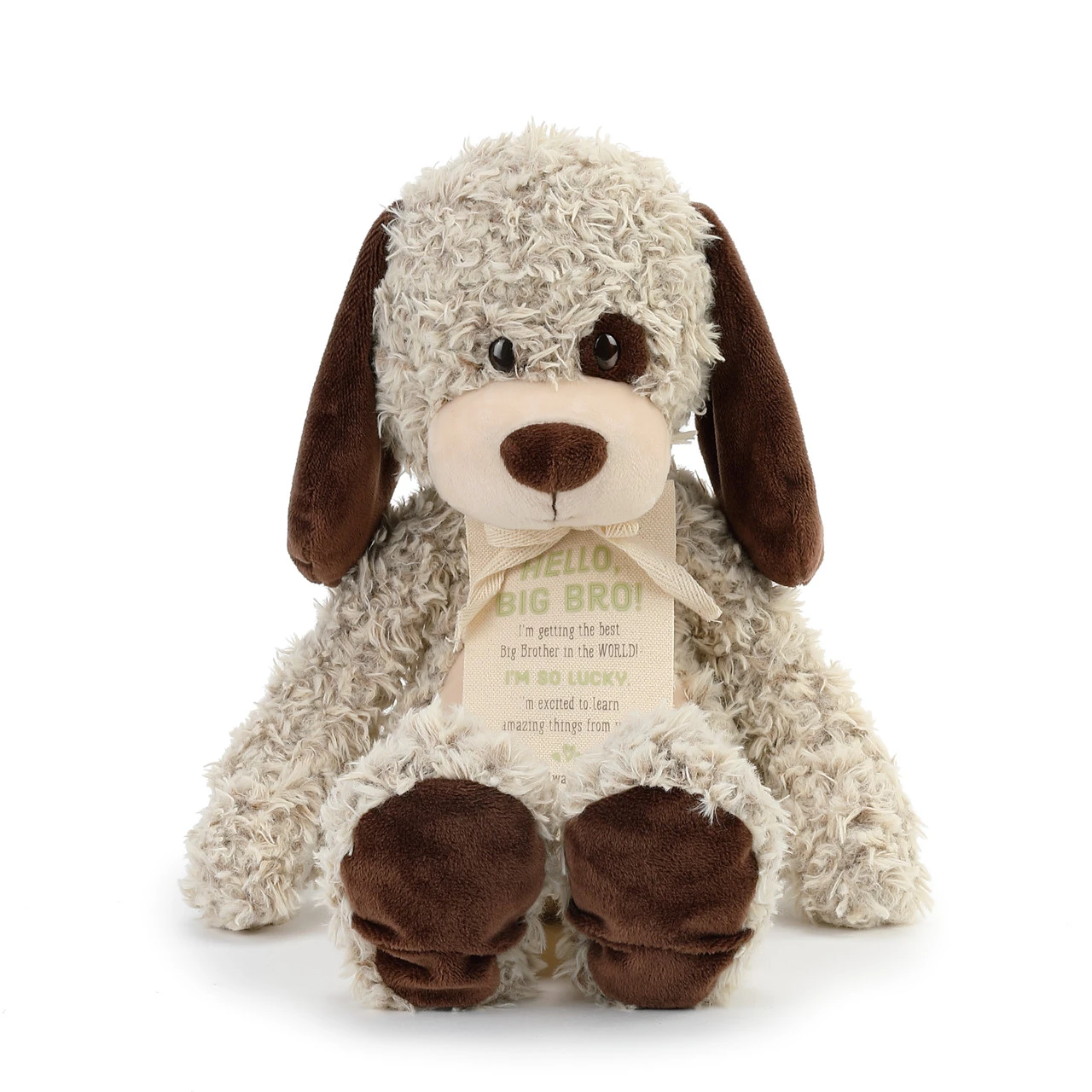 Gift from the New Kid: Big Brother Plush Puppy thumbnail