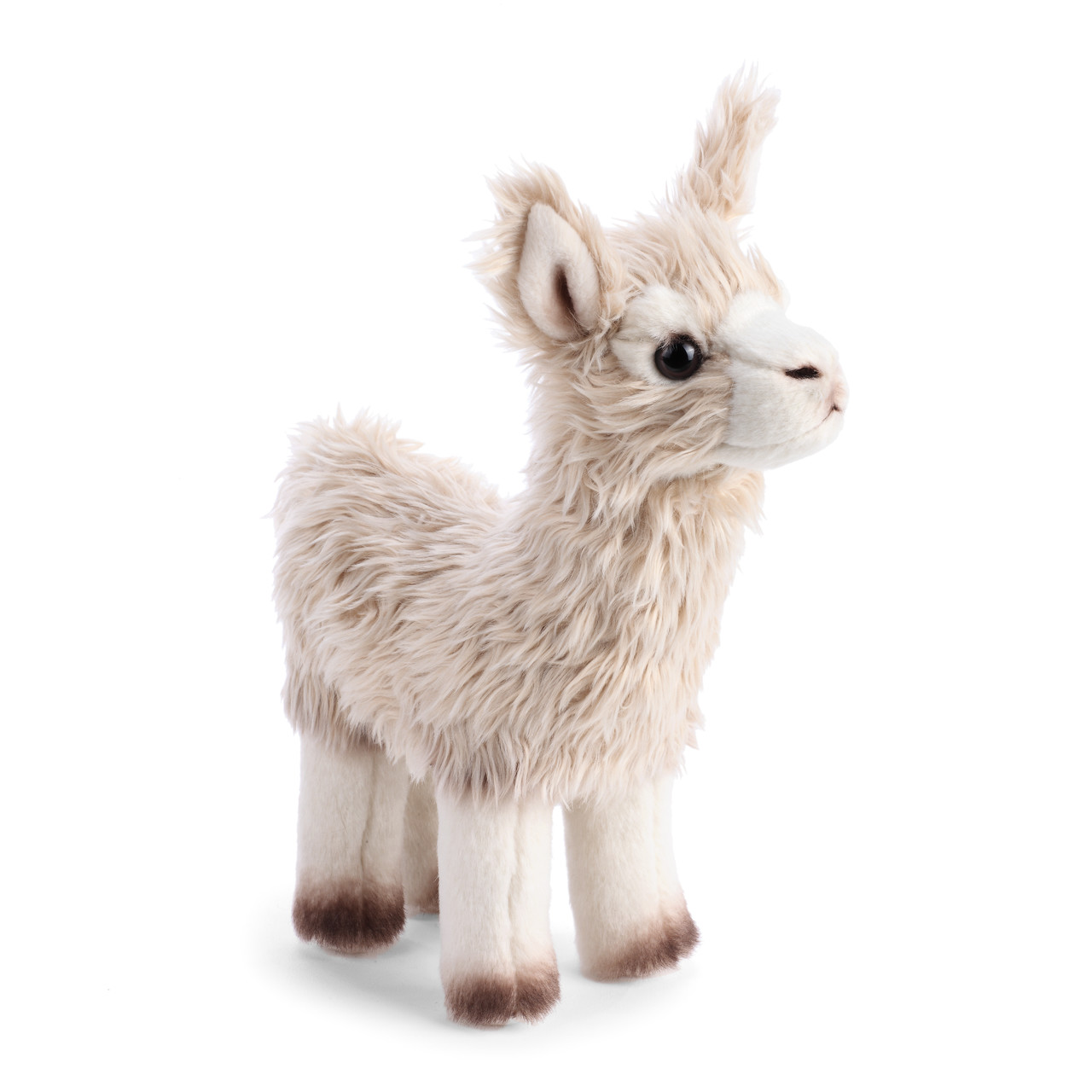 Llama Small thumbnail