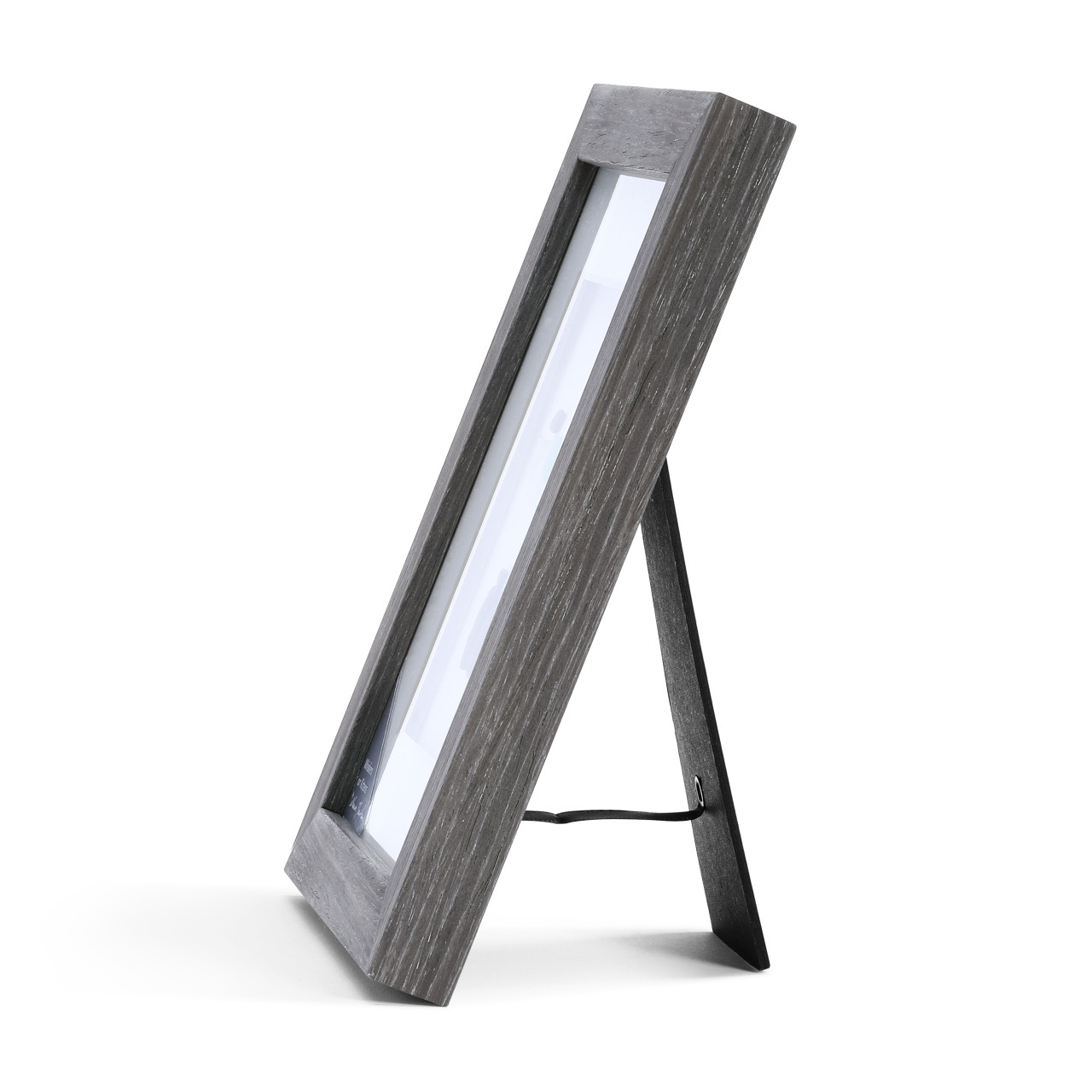 Sharon Nowlan Collection Whiskers on Kittens Wall Art 8" x 10" thumbnail