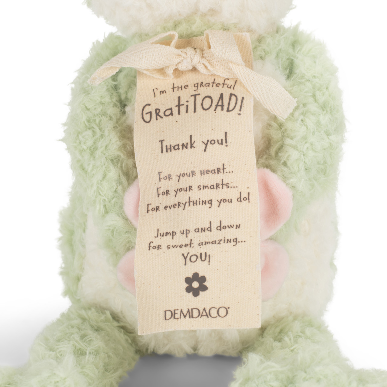 GratiTOAD - Stuffed Animal thumbnail