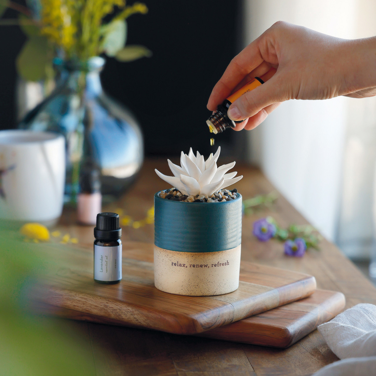 Relax, Renew, Refresh Two-Toned Succulent Oil Diffuser thumbnail