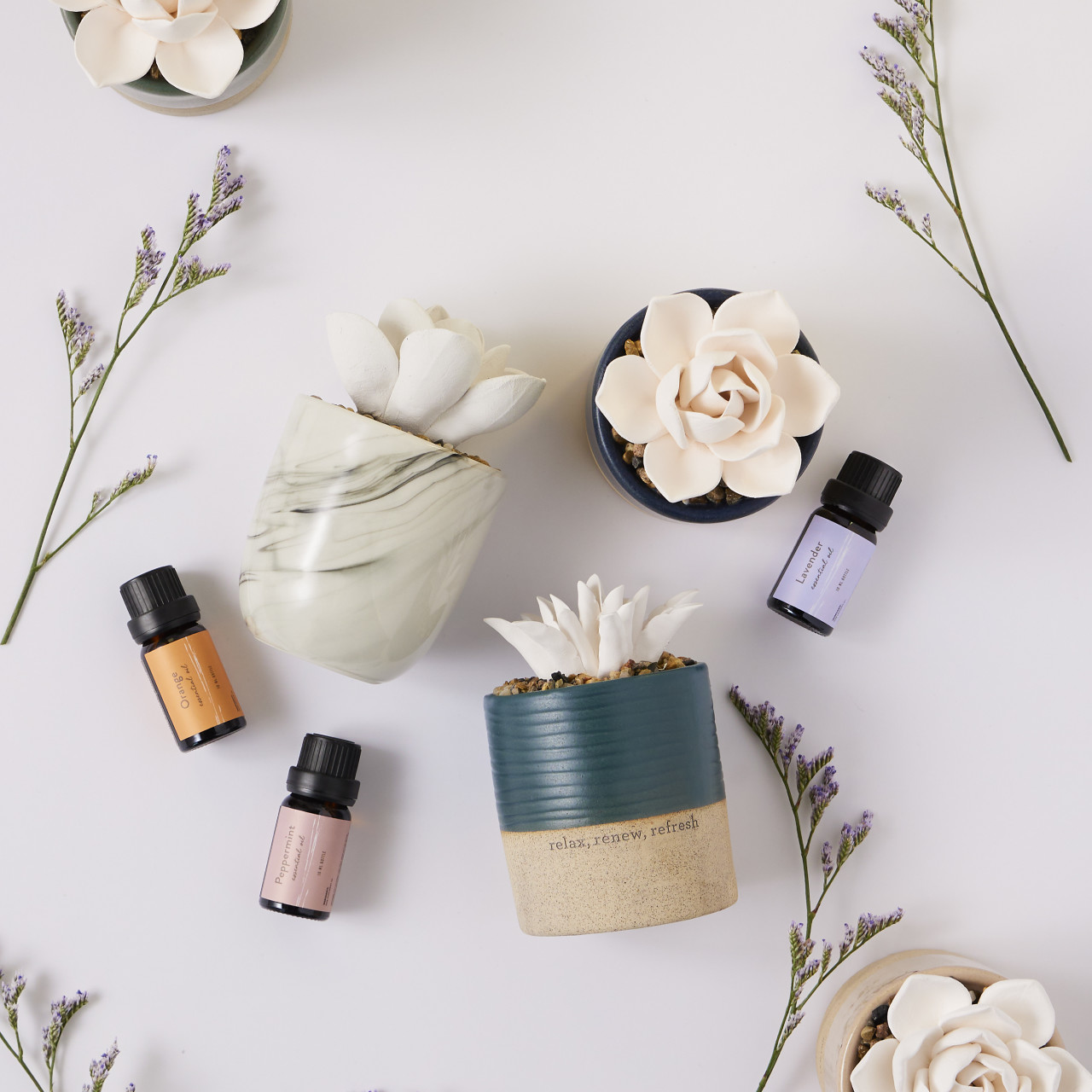 Relax, Renew, Refresh Two-Toned Succulent Oil Diffuser thumbnail