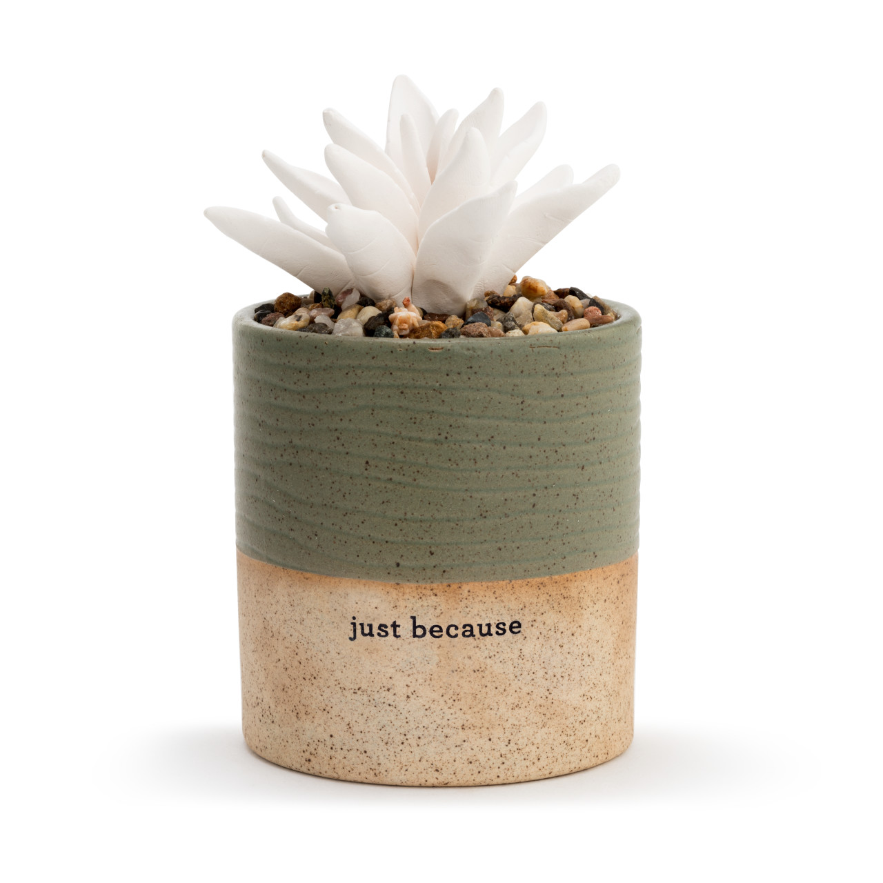 Succulent Oil Diffuser - Just Because thumbnail
