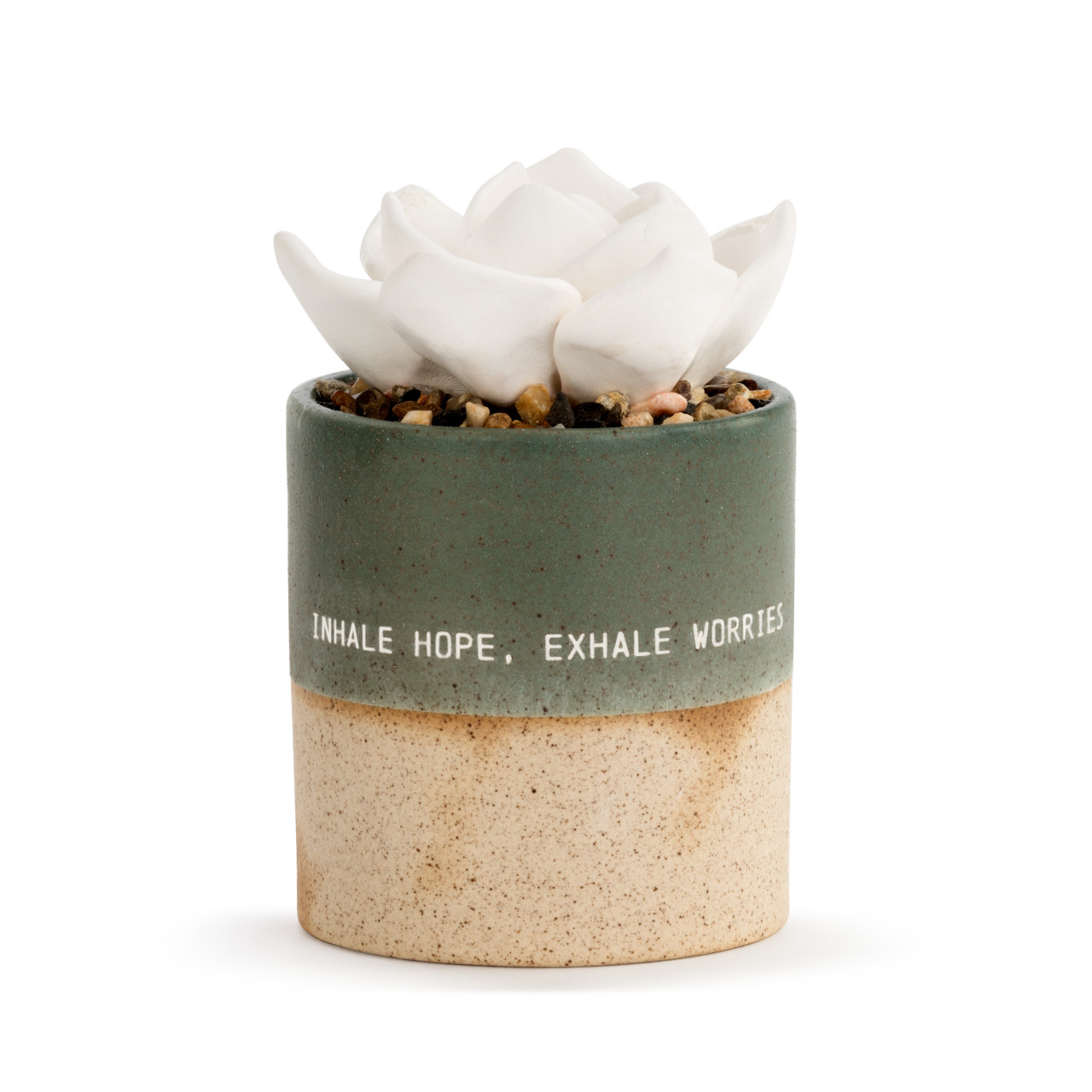 Succulent Oil Diffuser - Hope thumbnail