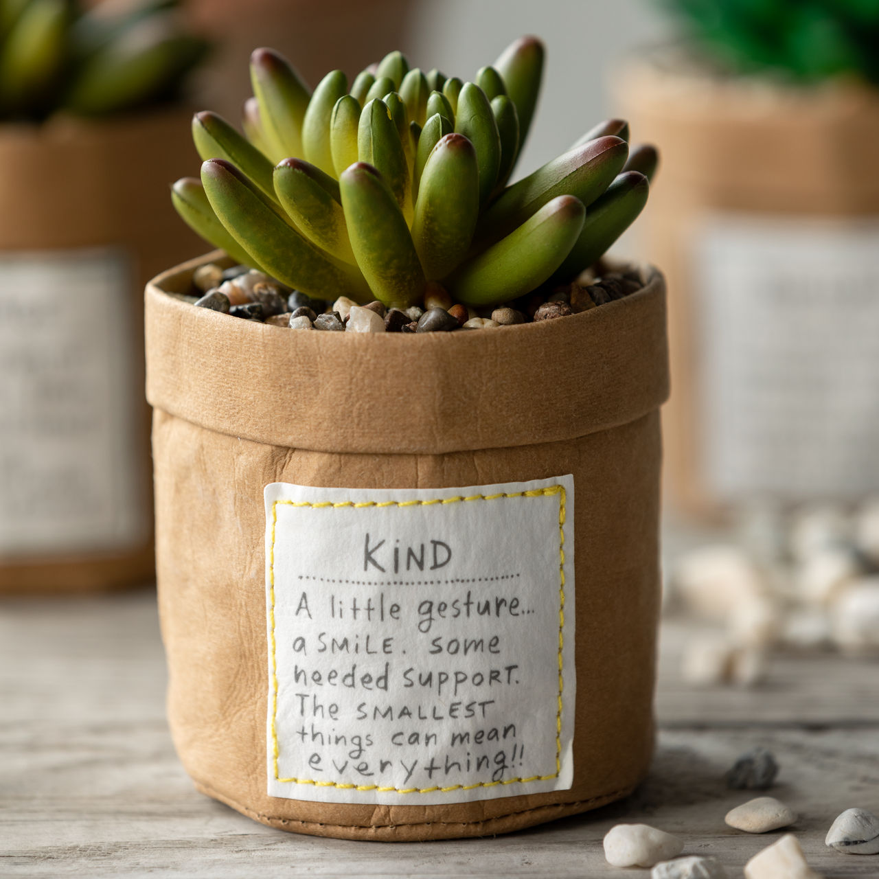 Plant Kindness - Kind thumbnail