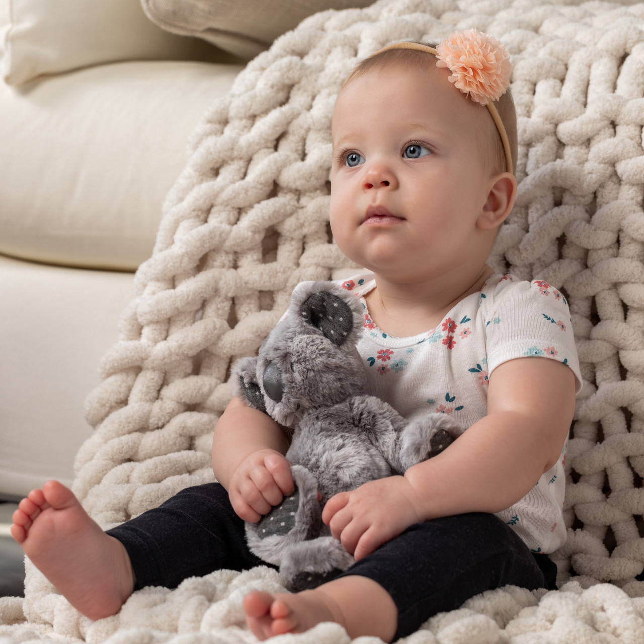 Koala Rattle thumbnail